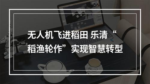 无人机飞进稻田 乐清“稻渔轮作”实现智慧转型