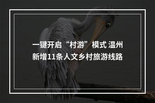 一键开启“村游”模式 温州新增11条人文乡村旅游线路