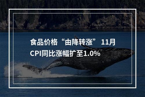 食品价格“由降转涨” 11月CPI同比涨幅扩至1.0%