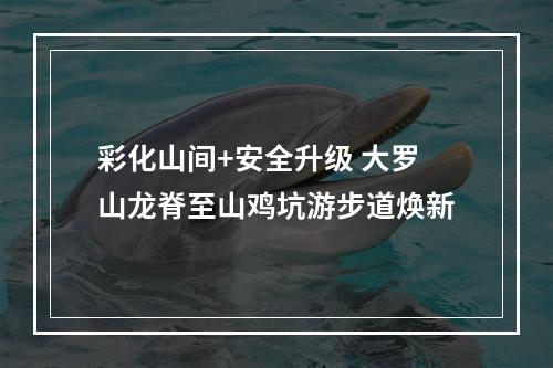 彩化山间+安全升级 大罗山龙脊至山鸡坑游步道焕新