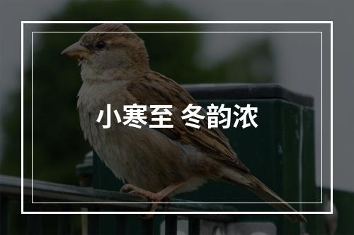 小寒至 冬韵浓