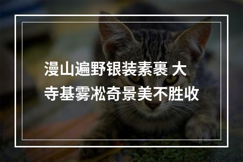 漫山遍野银装素裹 大寺基雾凇奇景美不胜收