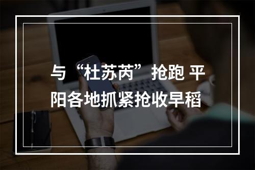 与“杜苏芮”抢跑 平阳各地抓紧抢收早稻