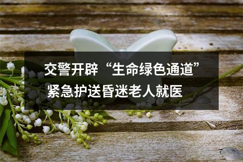 交警开辟“生命绿色通道” 紧急护送昏迷老人就医