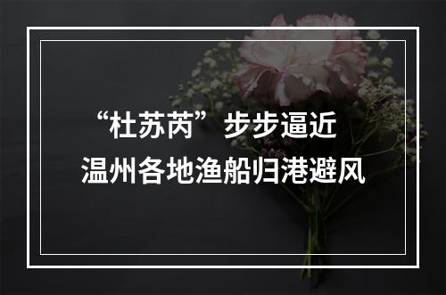 “杜苏芮”步步逼近 温州各地渔船归港避风