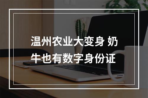 温州农业大变身 奶牛也有数字身份证