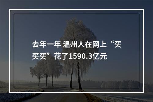 去年一年 温州人在网上“买买买”花了1590.3亿元