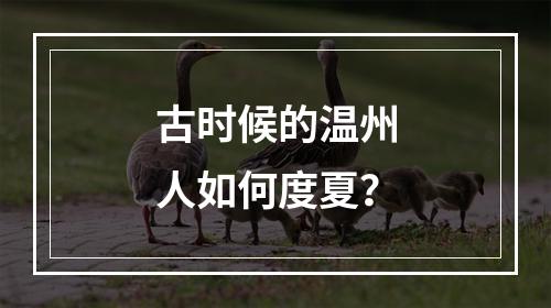古时候的温州人如何度夏？