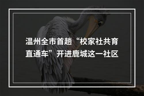 温州全市首趟“校家社共育直通车”开进鹿城这一社区