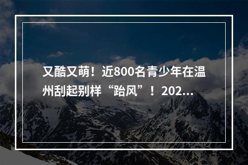 又酷又萌！近800名青少年在温州刮起别样“跆风”！2023年第八届两岸跆拳道公开赛拉开战幕
