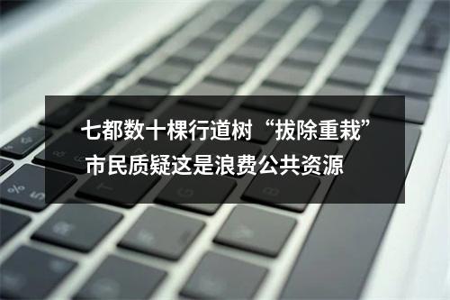 七都数十棵行道树“拔除重栽” 市民质疑这是浪费公共资源