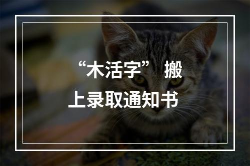 “木活字” 搬上录取通知书