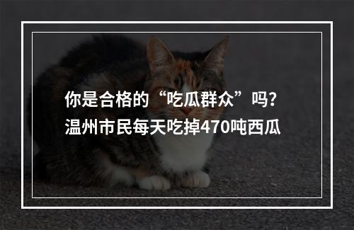 你是合格的“吃瓜群众”吗？ 温州市民每天吃掉470吨西瓜