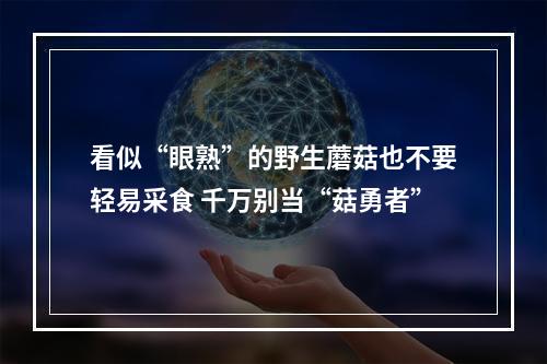 看似“眼熟”的野生蘑菇也不要轻易采食 千万别当“菇勇者”