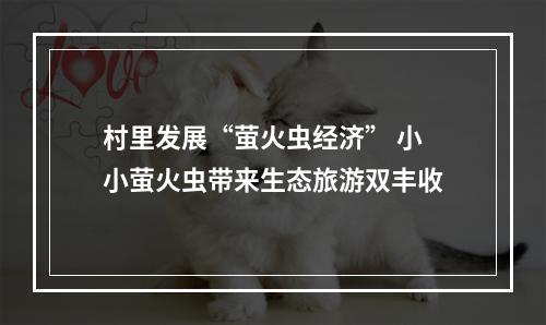 村里发展“萤火虫经济” 小小萤火虫带来生态旅游双丰收