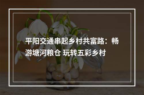 平阳交通串起乡村共富路：畅游塘河粮仓 玩转五彩乡村