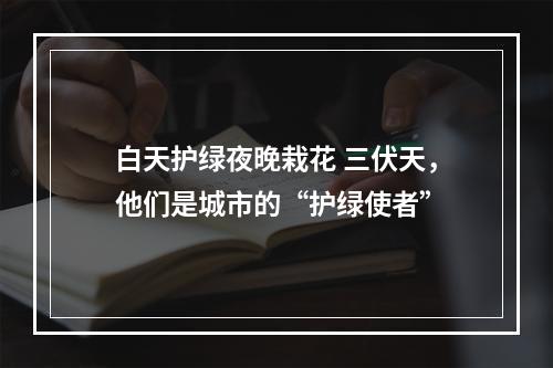 白天护绿夜晚栽花 三伏天，他们是城市的“护绿使者”