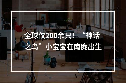 全球仅200余只！“神话之鸟”小宝宝在南麂出生