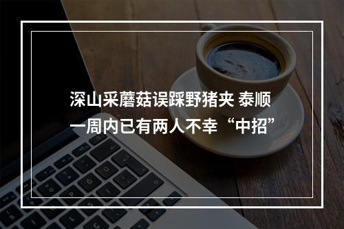 深山采蘑菇误踩野猪夹 泰顺一周内已有两人不幸“中招”