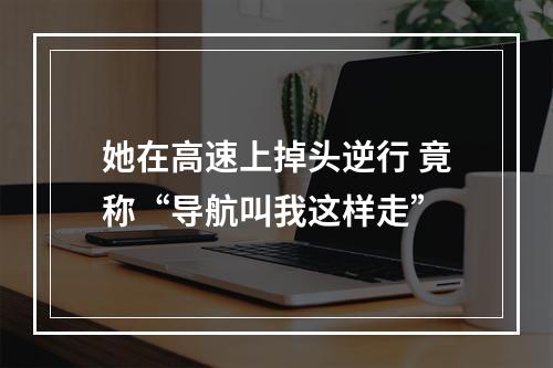 她在高速上掉头逆行 竟称“导航叫我这样走”