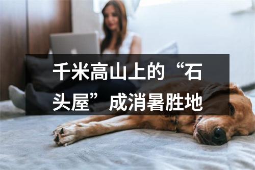 千米高山上的“石头屋”成消暑胜地