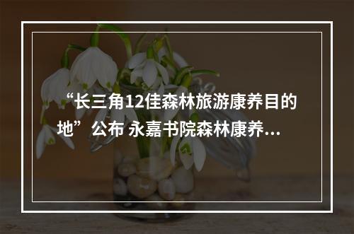 “长三角12佳森林旅游康养目的地”公布 永嘉书院森林康养基地入选