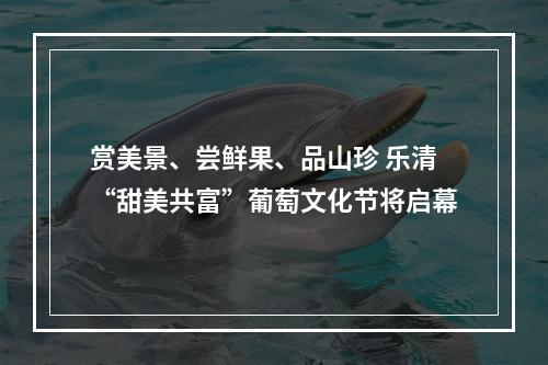 赏美景、尝鲜果、品山珍 乐清“甜美共富”葡萄文化节将启幕