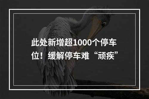 此处新增超1000个停车位！缓解停车难“顽疾”