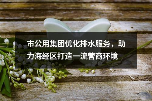 市公用集团优化排水服务，助力海经区打造一流营商环境