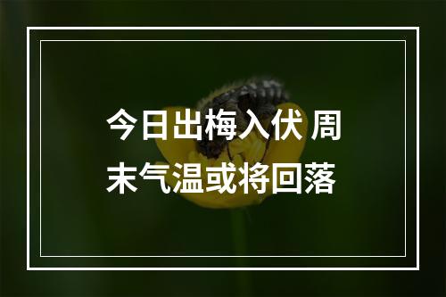 今日出梅入伏 周末气温或将回落