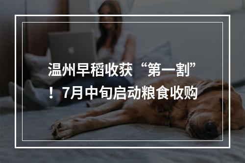 温州早稻收获“第一割”！7月中旬启动粮食收购