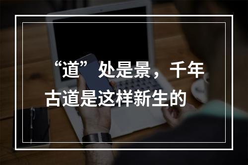 “道”处是景，千年古道是这样新生的