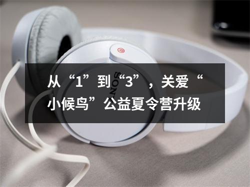 从“1”到“3”，关爱“小候鸟”公益夏令营升级