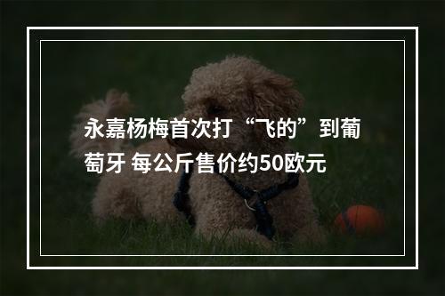 永嘉杨梅首次打“飞的”到葡萄牙 每公斤售价约50欧元