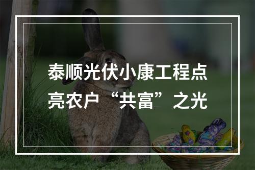 泰顺光伏小康工程点亮农户“共富”之光