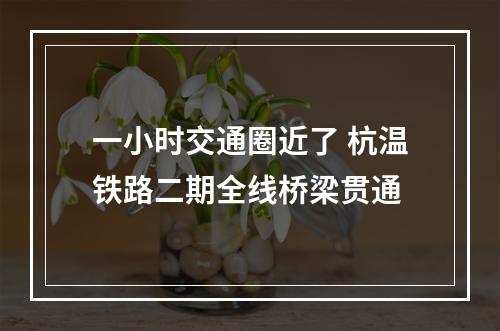 一小时交通圈近了 杭温铁路二期全线桥梁贯通