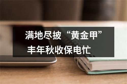 满地尽披“黄金甲” 丰年秋收保电忙