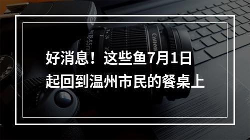 好消息！这些鱼7月1日起回到温州市民的餐桌上