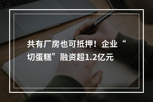 共有厂房也可抵押！企业“切蛋糕”融资超1.2亿元