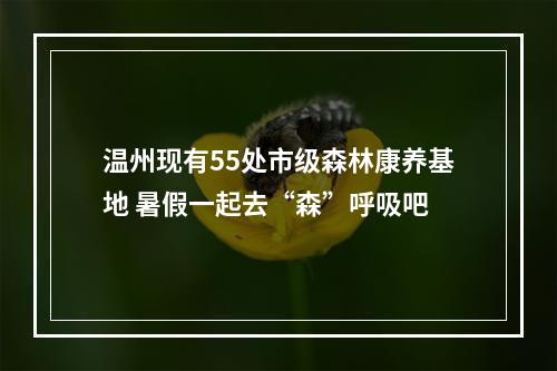 温州现有55处市级森林康养基地 暑假一起去“森”呼吸吧