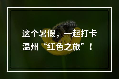 这个暑假，一起打卡温州“红色之旅”！