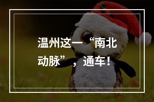 温州这一“南北动脉”，通车！