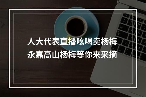 人大代表直播吆喝卖杨梅 永嘉高山杨梅等你来采摘