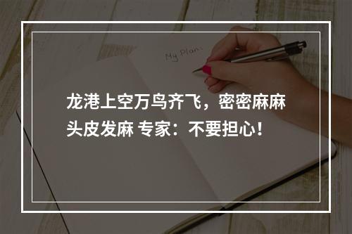 龙港上空万鸟齐飞，密密麻麻头皮发麻 专家：不要担心！
