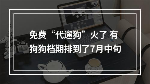 免费“代遛狗”火了 有狗狗档期排到了7月中旬