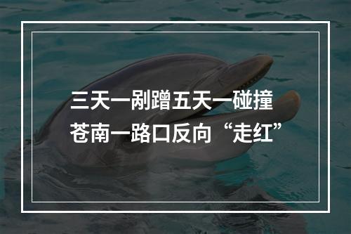 三天一剐蹭五天一碰撞 苍南一路口反向“走红”