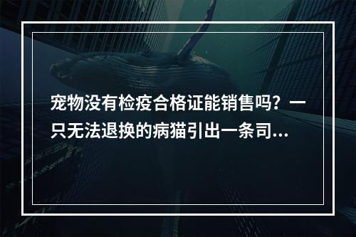 宠物没有检疫合格证能销售吗？一只无法退换的病猫引出一条司法建议