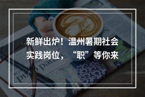 新鲜出炉！温州暑期社会实践岗位，“职”等你来
