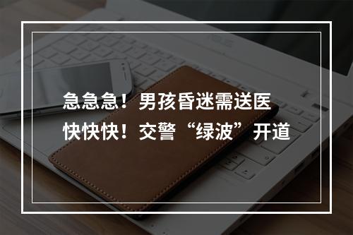急急急！男孩昏迷需送医 快快快！交警“绿波”开道
