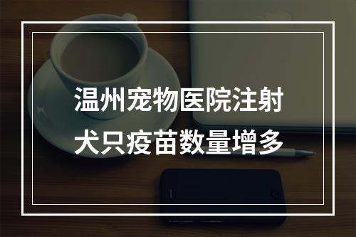 温州宠物医院注射犬只疫苗数量增多